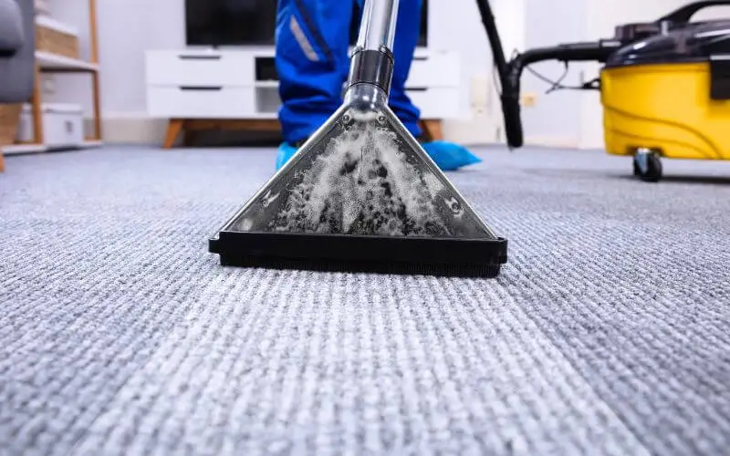 Professional Carpet cleaning copany sheffield